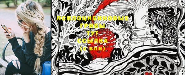 стафф Аркадак